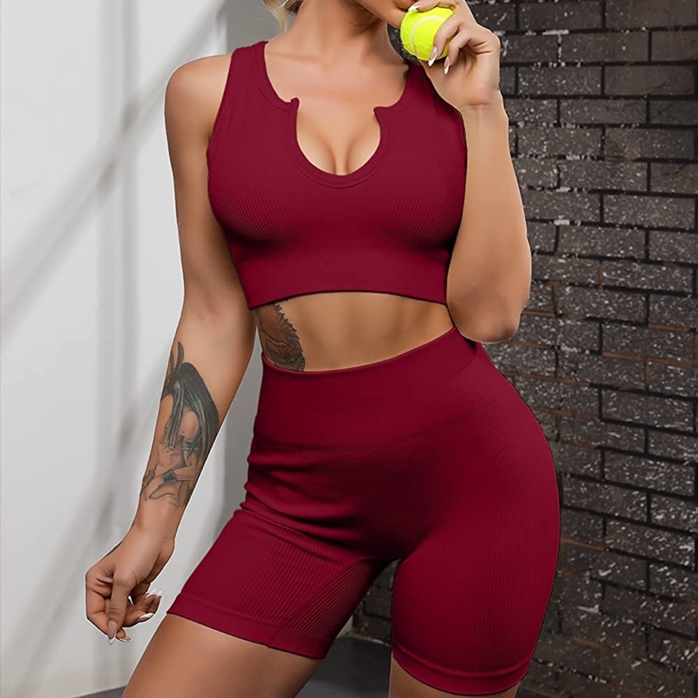 Seamless Gym 2 Piece Yoga Sets